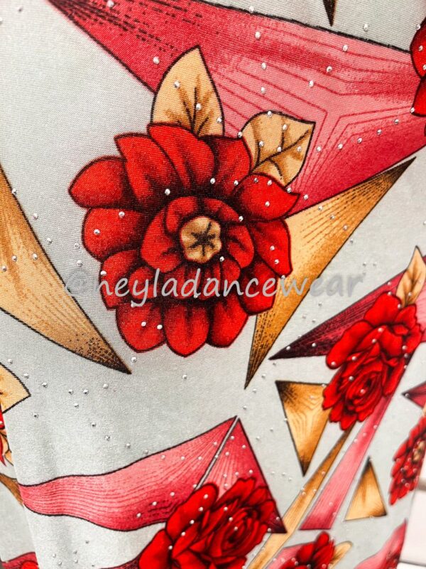 Vestido de danza del vientre, estampado con rosas rojas, y fondo gris, para danza del vientre, danza oriental, vestido para clases de danza.